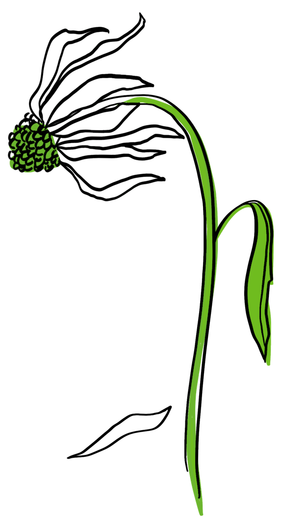 PeggyDeanxPassionLife-Final-Green-updated