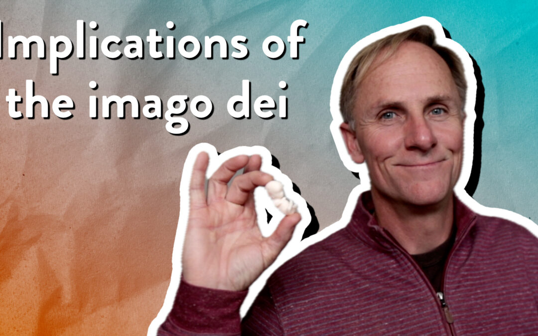 Implications of the imago dei